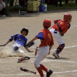 サムネイル写真