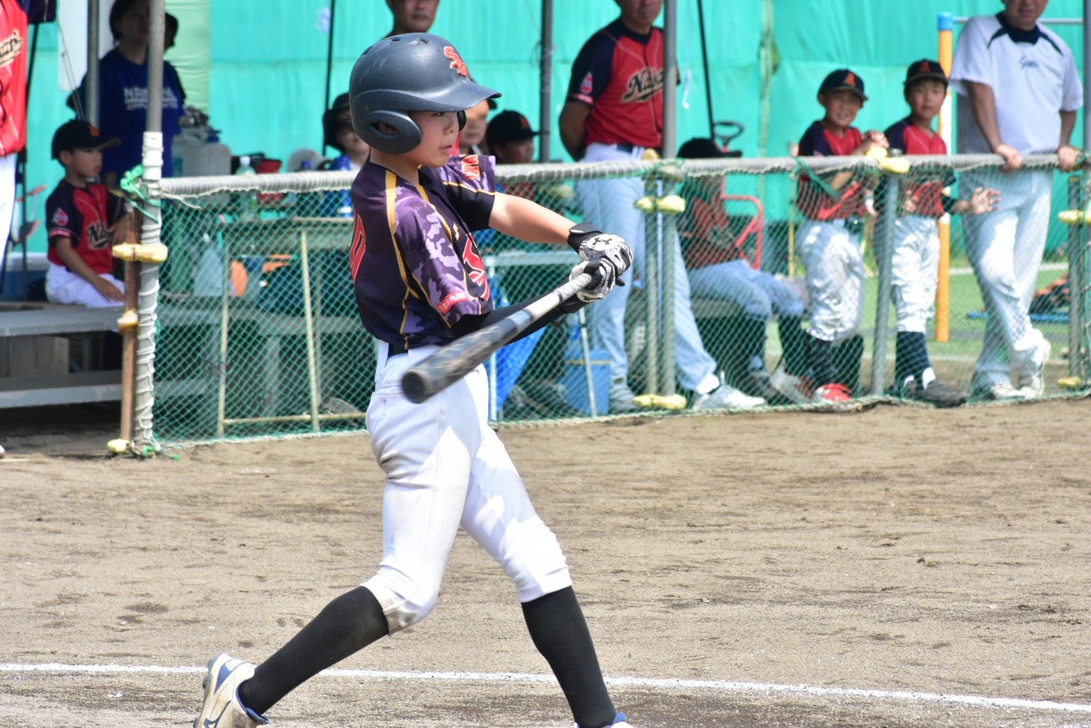 S__64577552_0.jpg